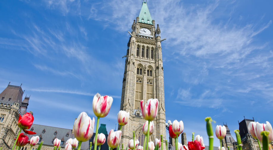 FESTIVAL DEL TULIPÁN… EN CANADÁ