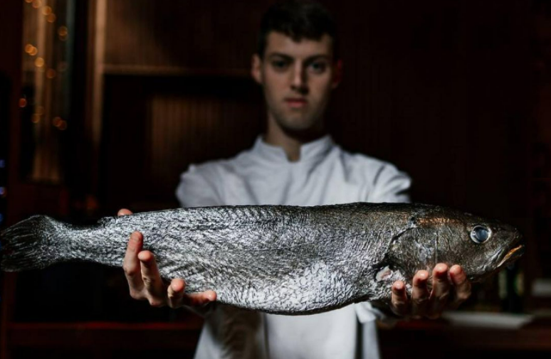 Colósimo: tradición y sabor gaditanos