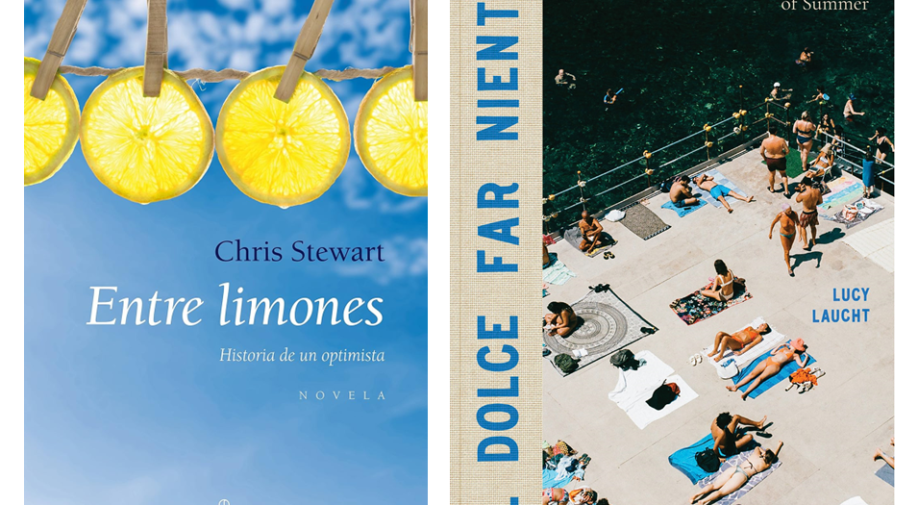 DOS LIBROS DE VERANO